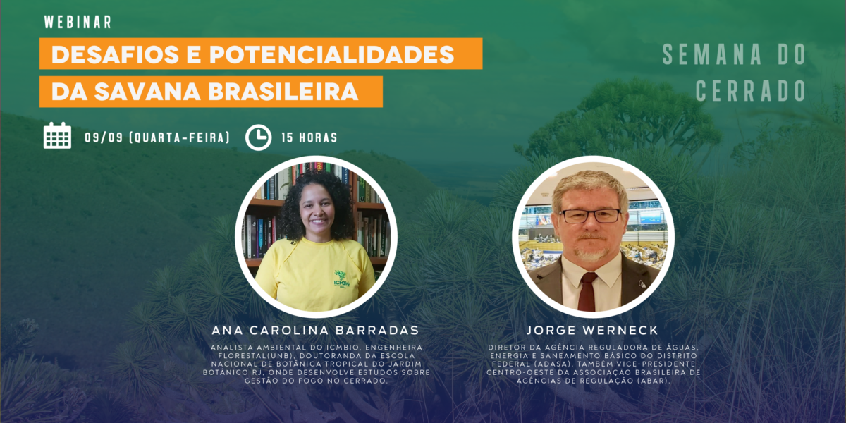 Na semana do Cerrado, Webinar discute desafios e potencialidades da savana brasileira