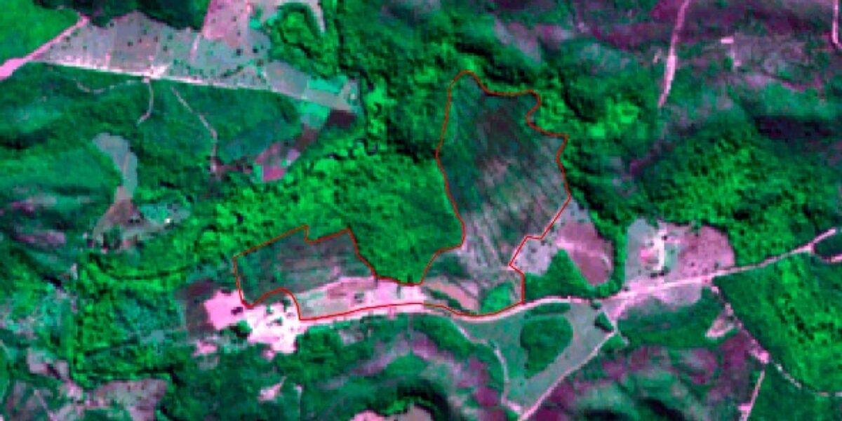 Monitoramento via satélite ajuda Semad a combater desmatamento irregular em Goiás