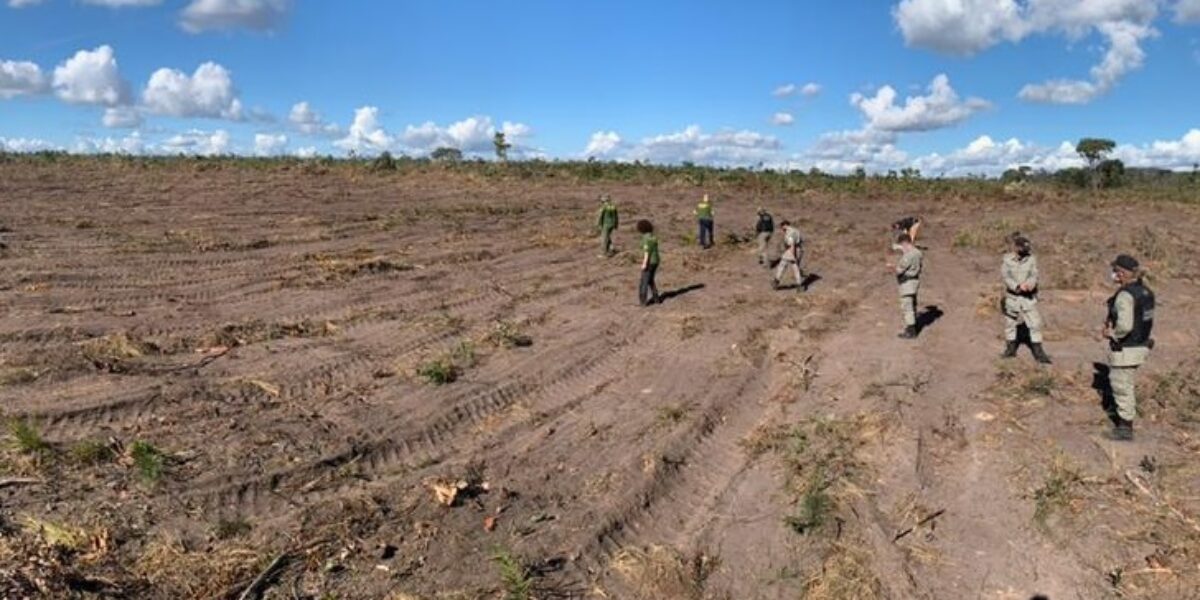 Arrecadação para o Fundo Estadual do Meio Ambiente em 2020 foi de 44,51% em relação a 2019 e de mais de 175% se comparado com 2018