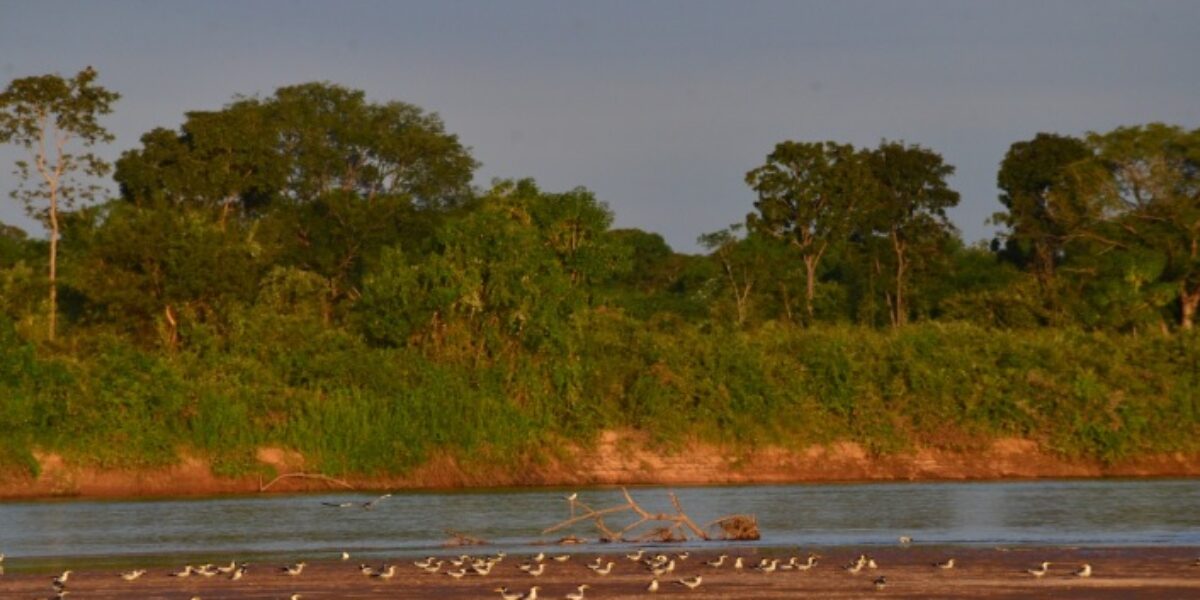 Semad proíbe atividades de pesca em municípios da Bacia do Araguaia