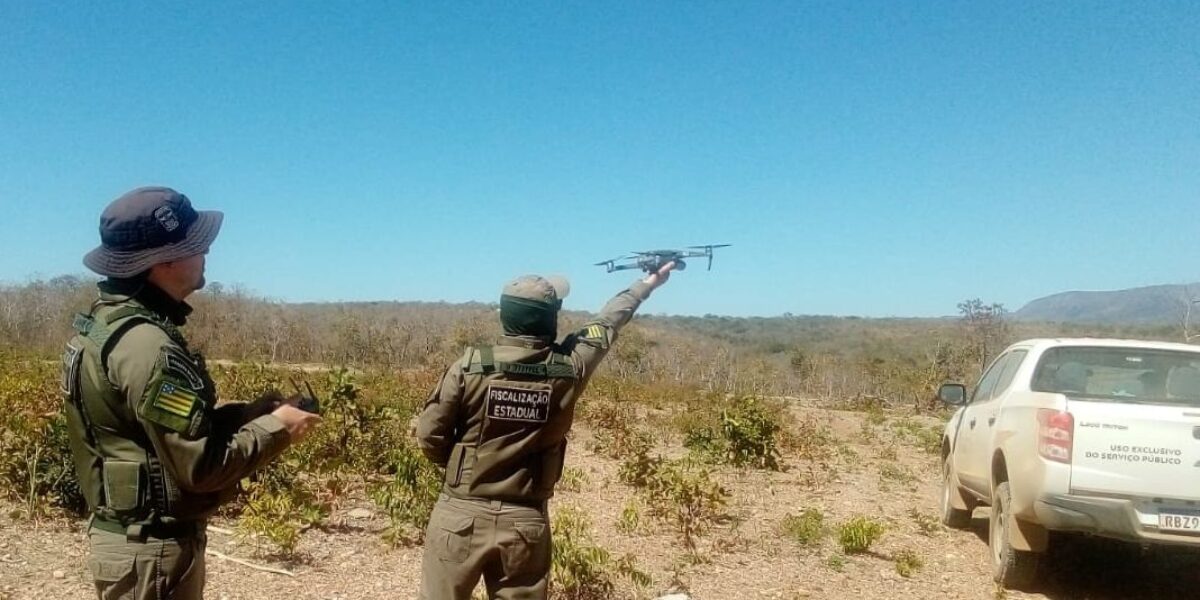 Operação Barganha: fiscalização da Semad em Alto Paraíso resulta em multas de R$ 2 milhões