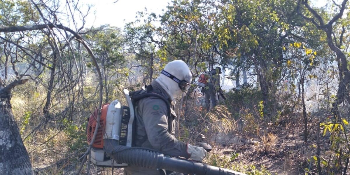 Ações preventivas e resposta rápida das brigadas reduzem em 80% os incêndios florestais em parques de Goiás