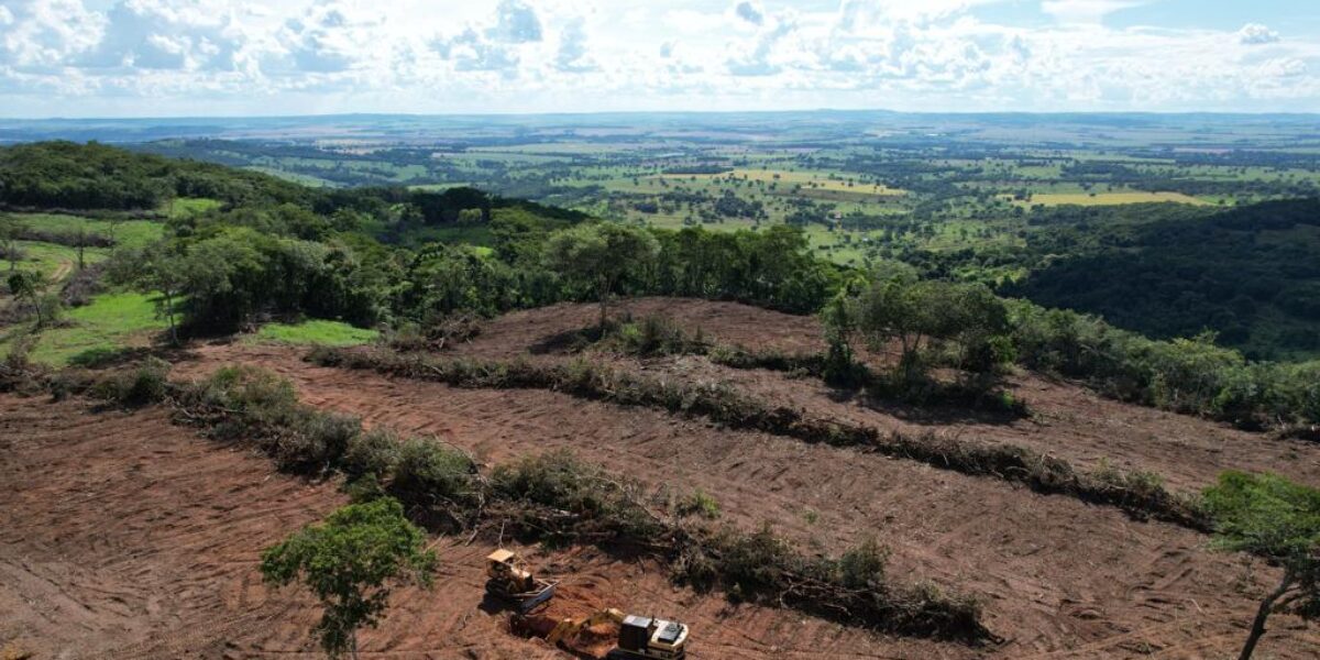 Fiscalização da Semad interrompe desmatamento ilegal em Jandaia e livra da devastação cerca de 50 hectares de terra