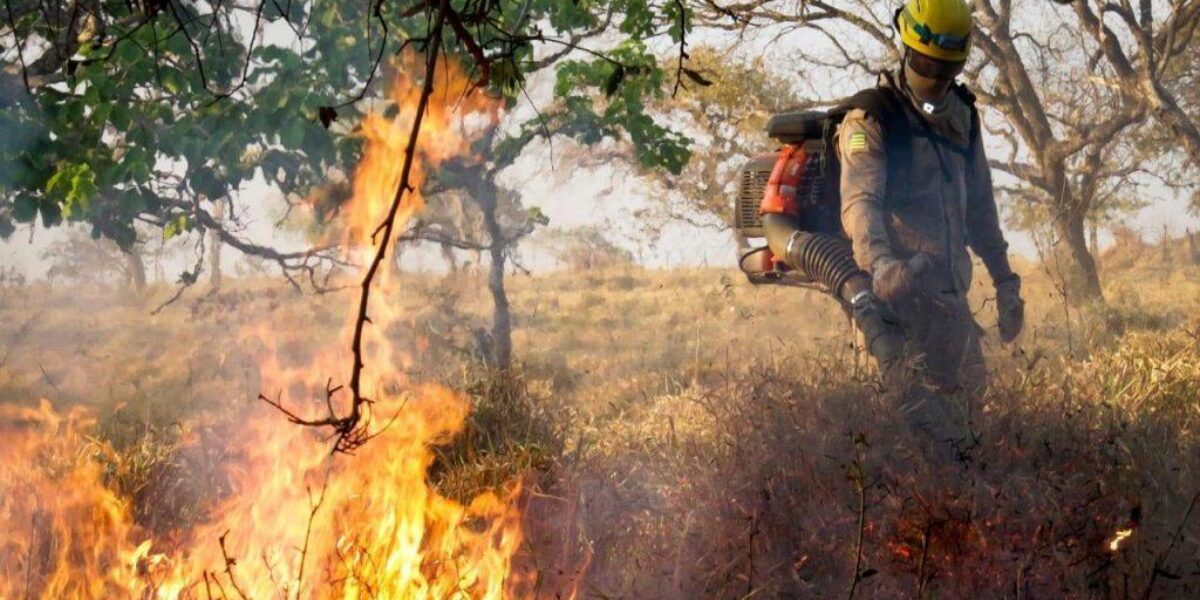 Monitoramento que antecipa potenciais focos de queimada em Goiás será tema de estudo em encontro nacional