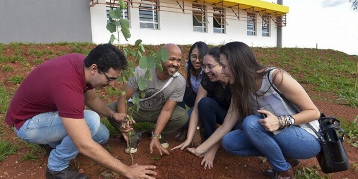 Goiás Sustentável: professor premiado em 2022 lidera projeto da UFG que ultrapassou fronteiras do Brasil