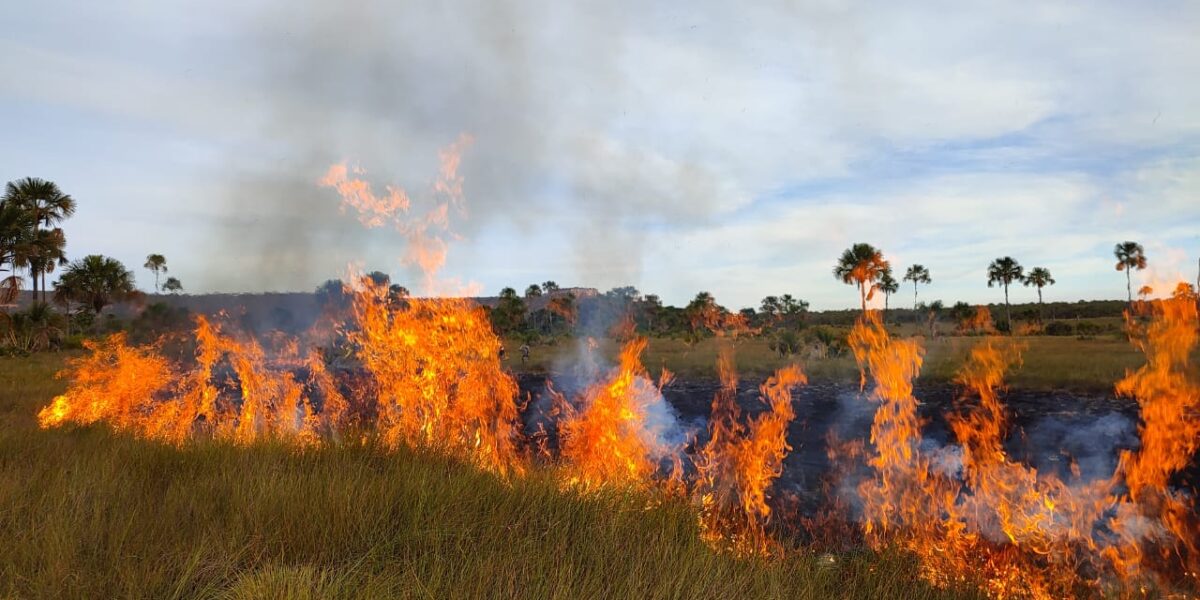 Governo de Goiás faz queima prescrita no Parque Estadual de Terra Ronca para prevenir incêndios
