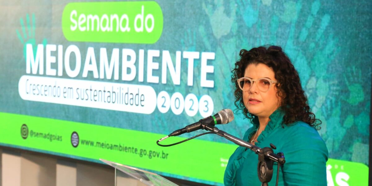 Andréa Vulcanis: “polarização entre desenvolvimento econômico e meio ambiente é um erro”