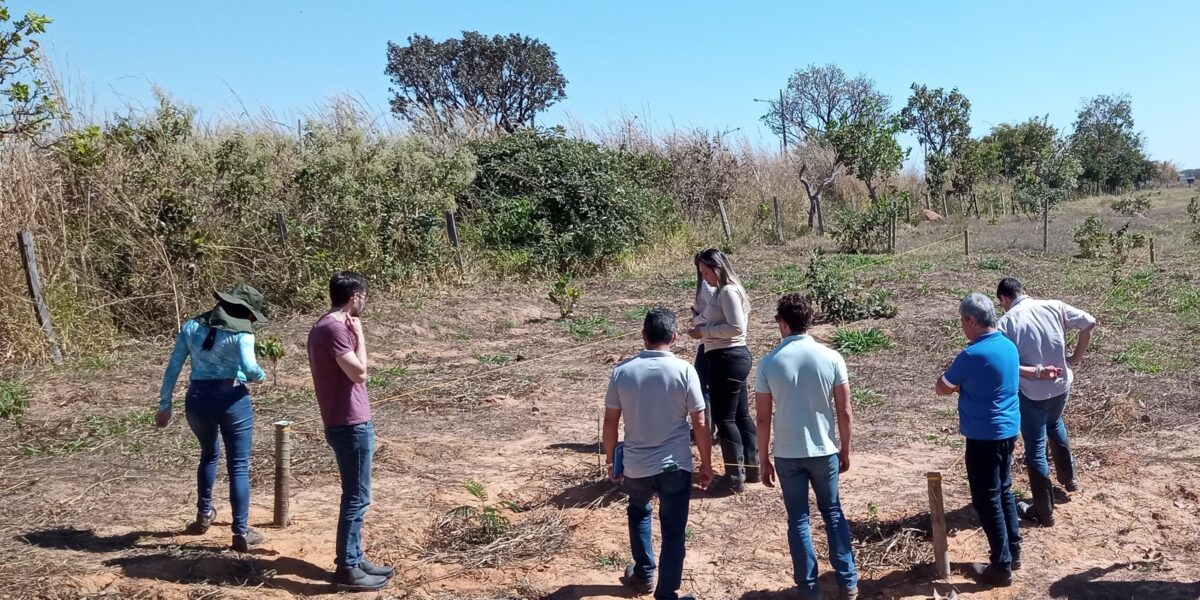 Equipes do Governo de Goiás, por meio da Semad, acompanham em campo ações do Programa Juntos pelo Araguaia