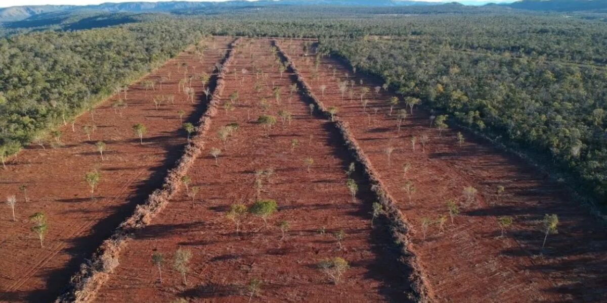 Semad adere a plataformas que vão aperfeiçoar fiscalização contra desmatamento