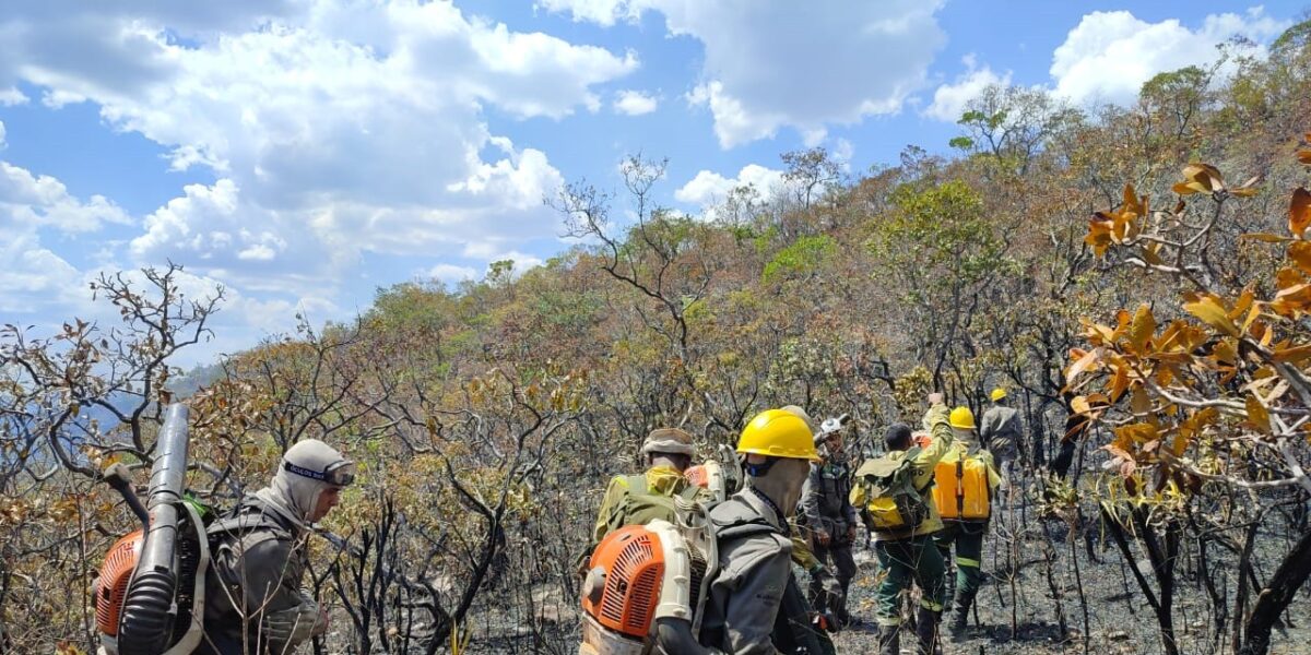 Após seis dias, brigadistas e bombeiros controlam incêndio que consumiu 35% de parque em Alto Paraíso