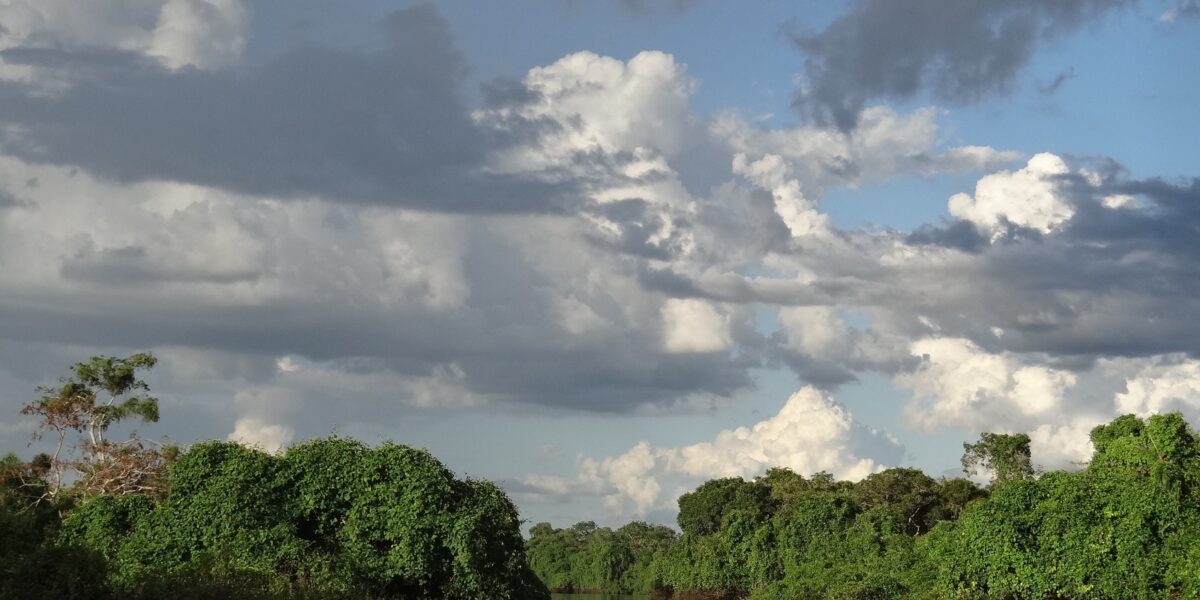 Semad realiza oficina para elaborar plano de manejo do Parque Estadual do Araguaia    