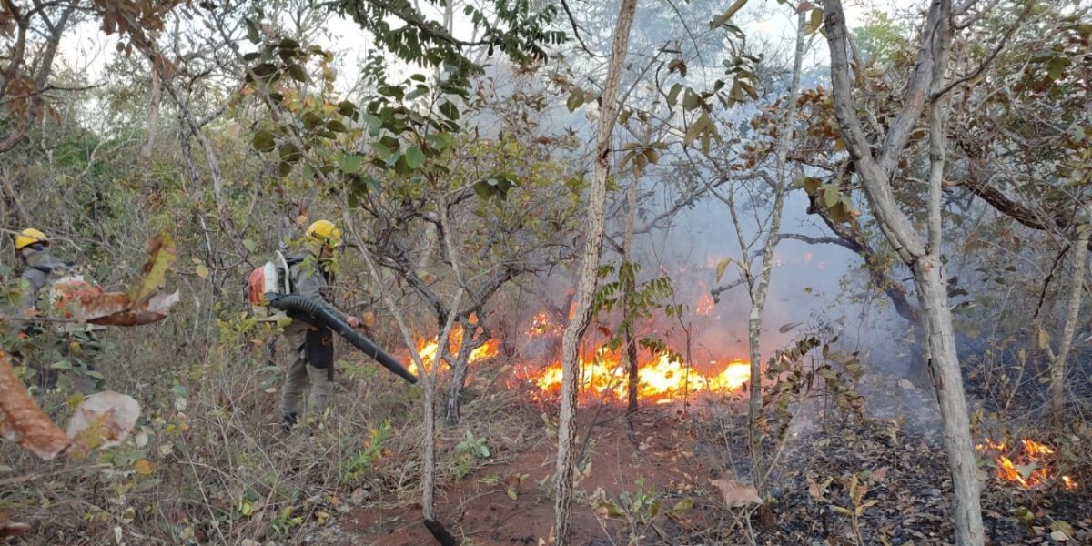 Governo de Goiás publica decreto que garante ação rápida contra incêndios florestais