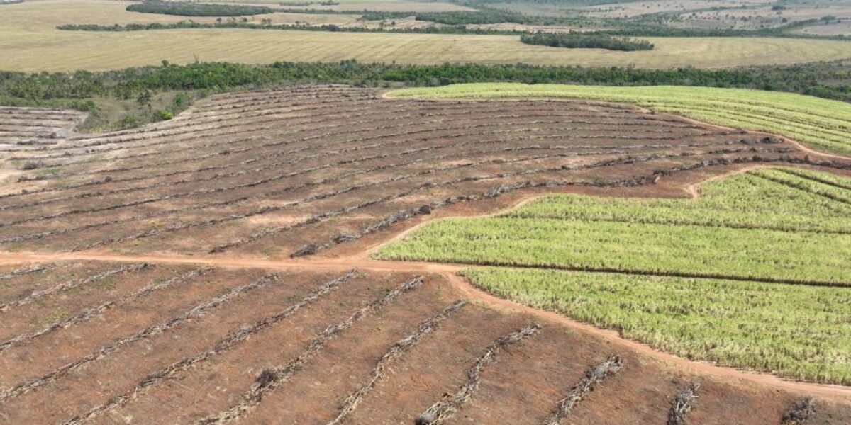 Semad faz operação contra desmatamento em Mineiros e aplica R$ 1,7 milhão em multas