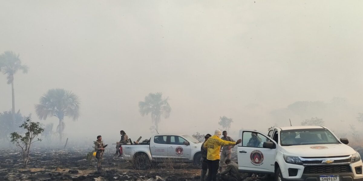 Incêndio que consumiu 5,5 mil hectares no Parque de Terra Ronca chega ao fim