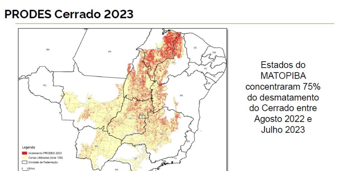 Desmatamento em Goiás cai 18% na comparação com 2022, diz governo federal