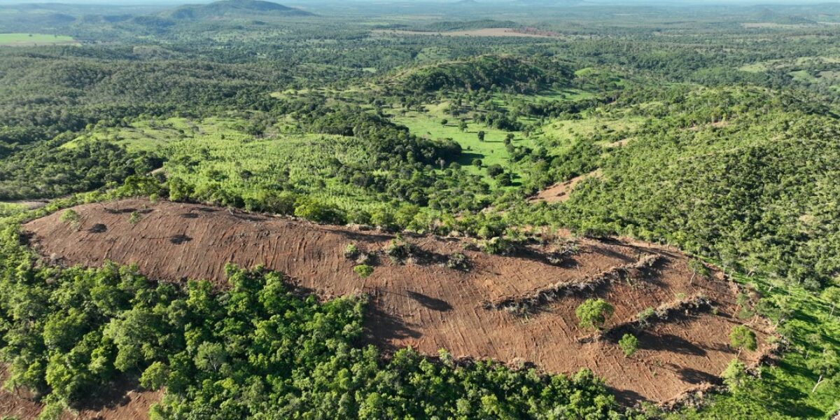 Semad flagra desmatamento de 190,5 hectares e aplica multa de R$ 211 mil, em Mara Rosa