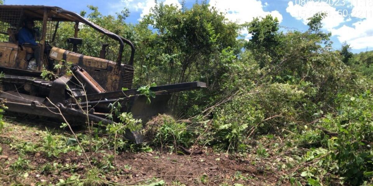 Na cidade de Goiás, Semad realiza segundo flagrante de desmatamento em 24 horas