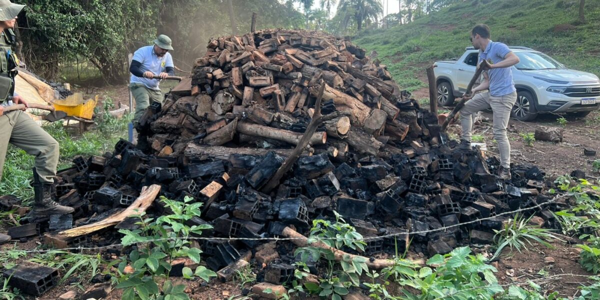 Desmatamento ilegal: Semad realiza novos flagrantes em Campo Alegre e Ipameri