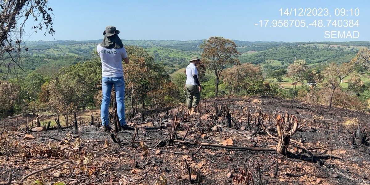 Semad flagra desmatamento ilegal em Corumbaíba e uso irregular de fogo em Marzagão