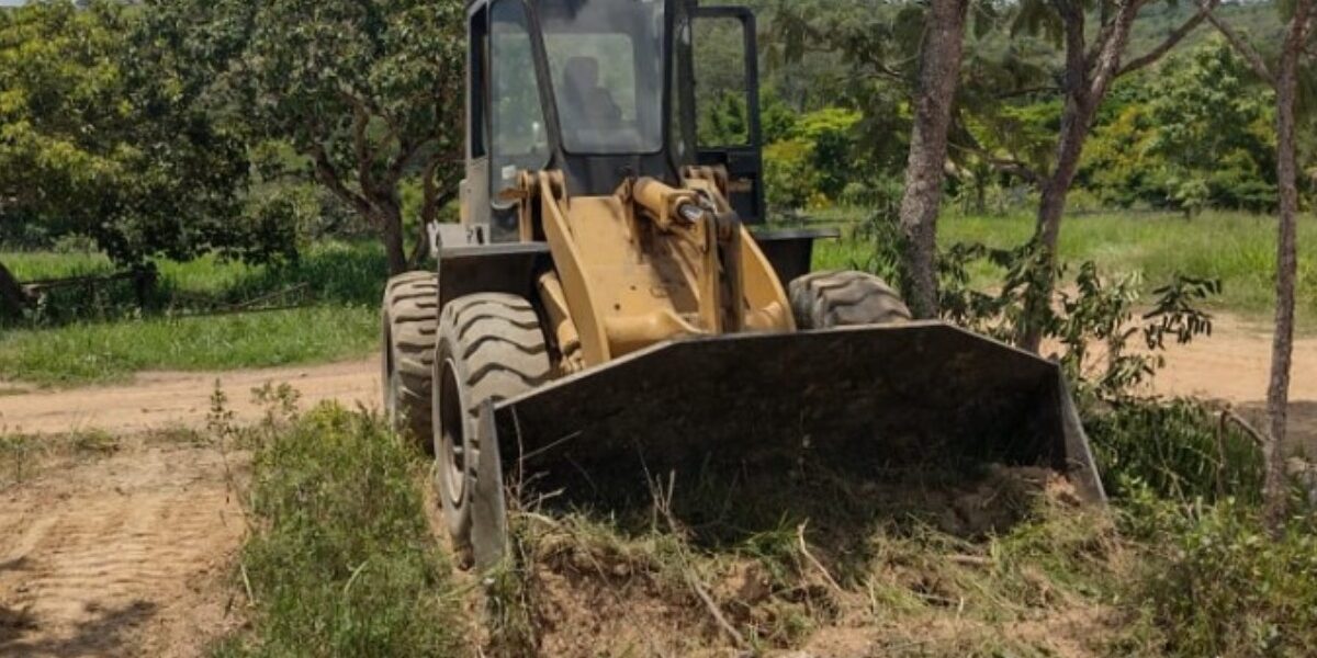Fiscais da Semad flagram desmatamento de 17,9 hectares em fazenda de Luziânia
