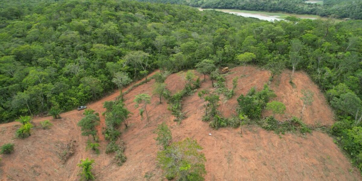 Desmatamento cai 48,8% em Goiás e chega a menor número desde 2001