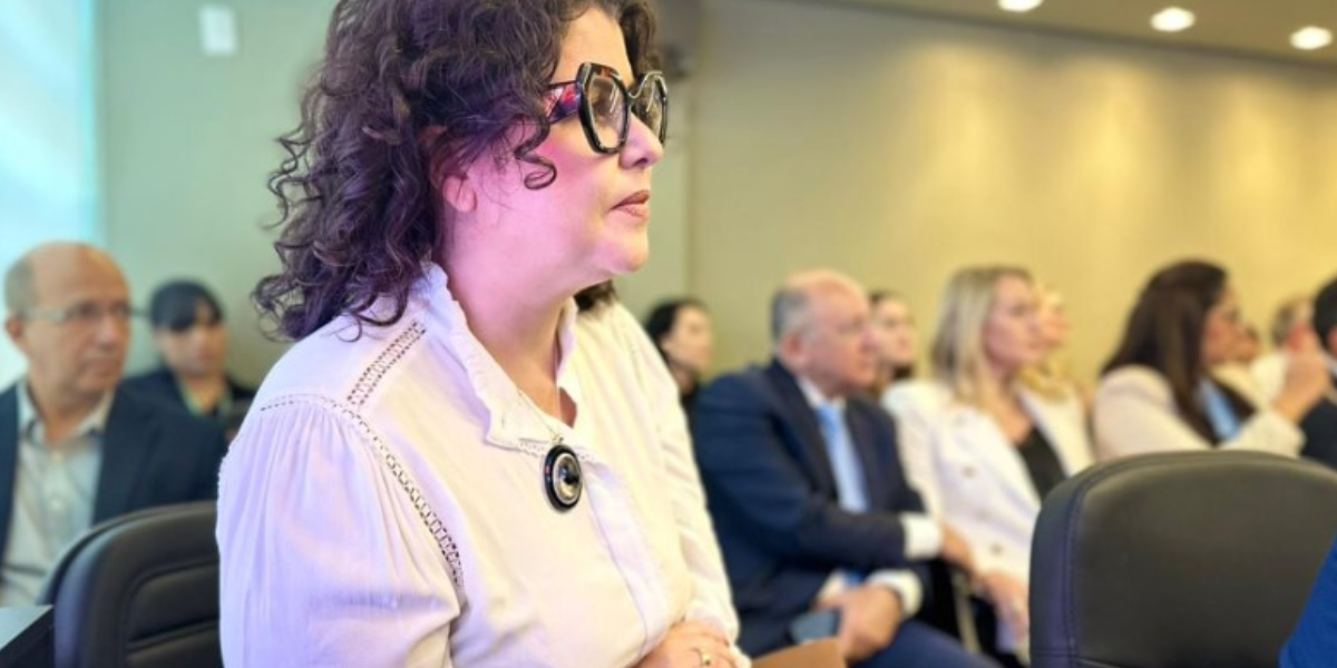 Secretária Andréa Vulcanis leva debate sobre loteamentos irregulares ao Senado