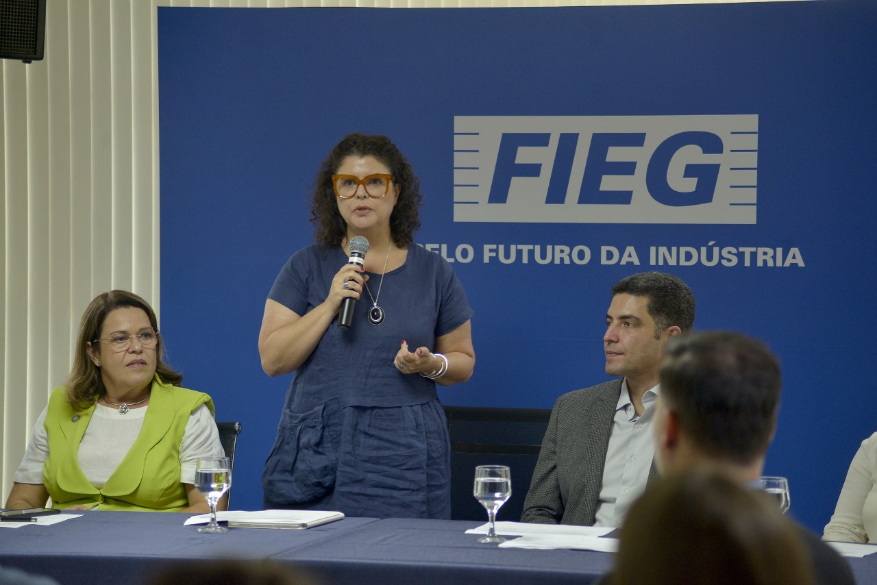 Secretária Andréa Vulcanis durante apresentação do Lote Mínimo na Fieg (Foto: Semad)