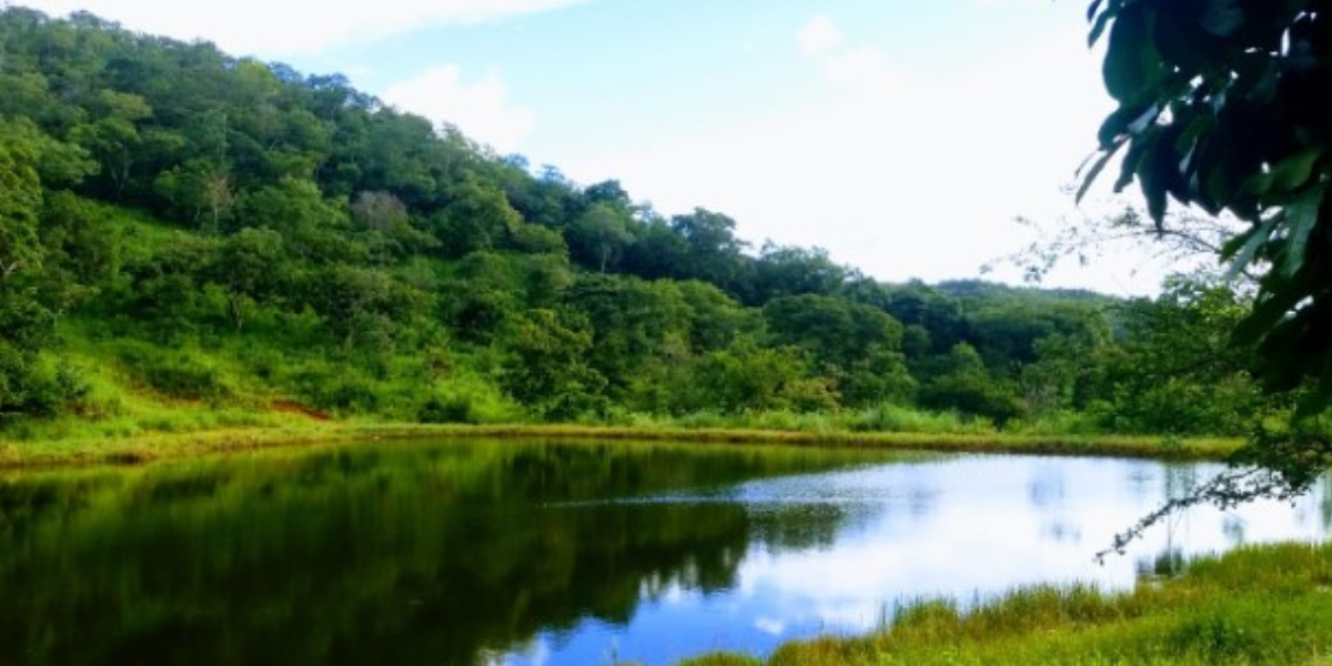 Parque da Serra de Jaraguá: confira edital para composição de conselho