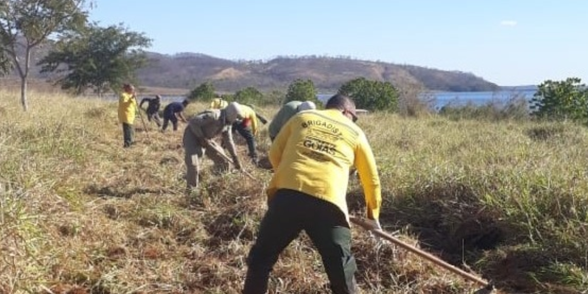 Prazo para solicitar queima controlada em Goiás vai até 30 de junho