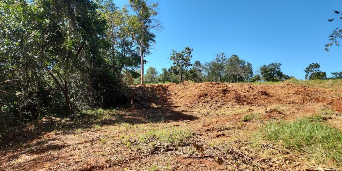 Semad flagra desmatamento e construção ilegal de loteamento em Pirenópolis