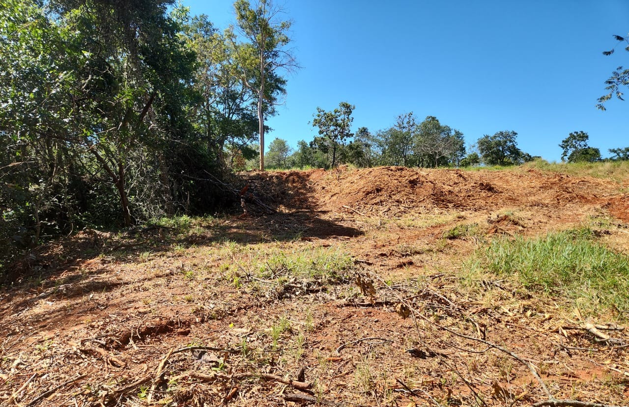 Semad flagra desmatamento e construção ilegal de loteamento em Pirenópolis