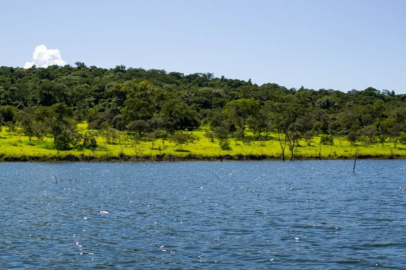 Parque Estadual Altamiro de Moura Pacheco (Peamp)