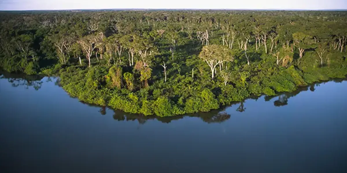 Puxado pelo JPA, Goiás conquista 3º lugar em ranking de sustentabilidade ambiental