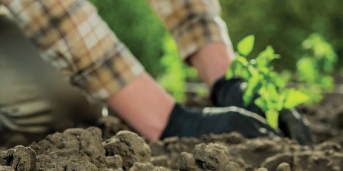 Diálogos ambientais: reveja livro produzido pela Semad em colaboração com municípios