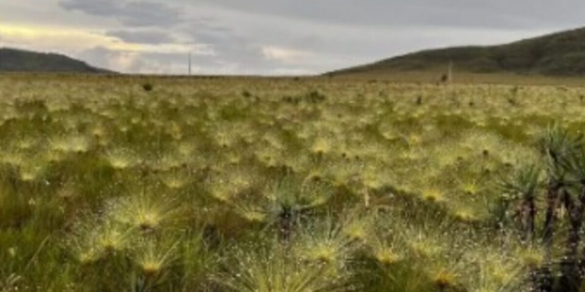 Semad convoca 1ª reunião do Fórum de Mudanças Climáticas de Goiás