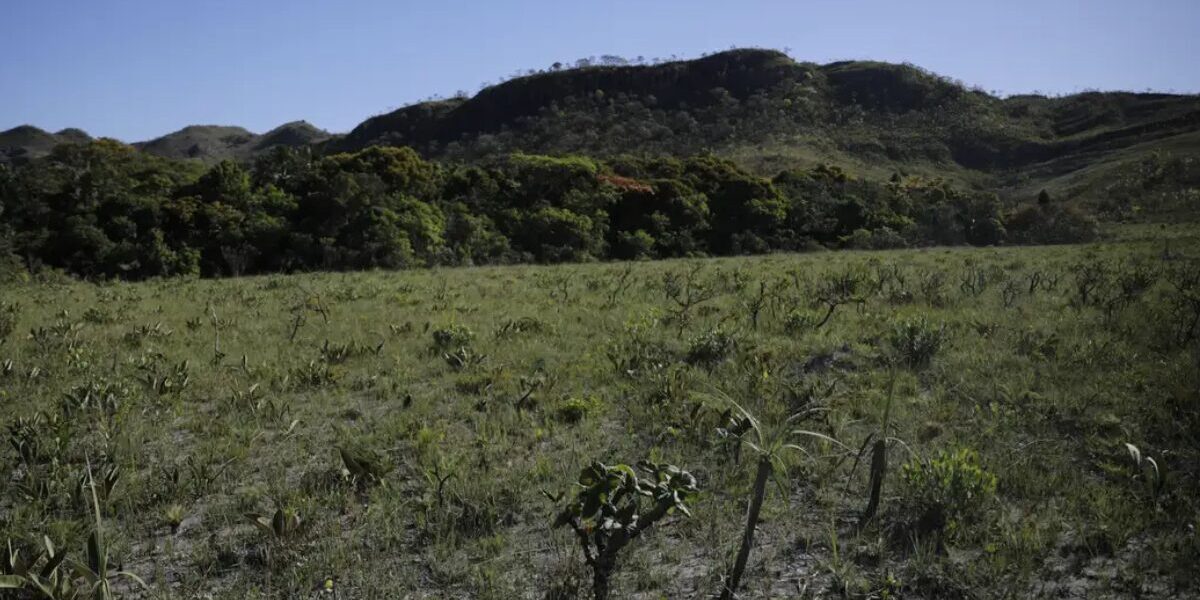 Semad publica regulamento da Conferência Estadual do Meio Ambiente