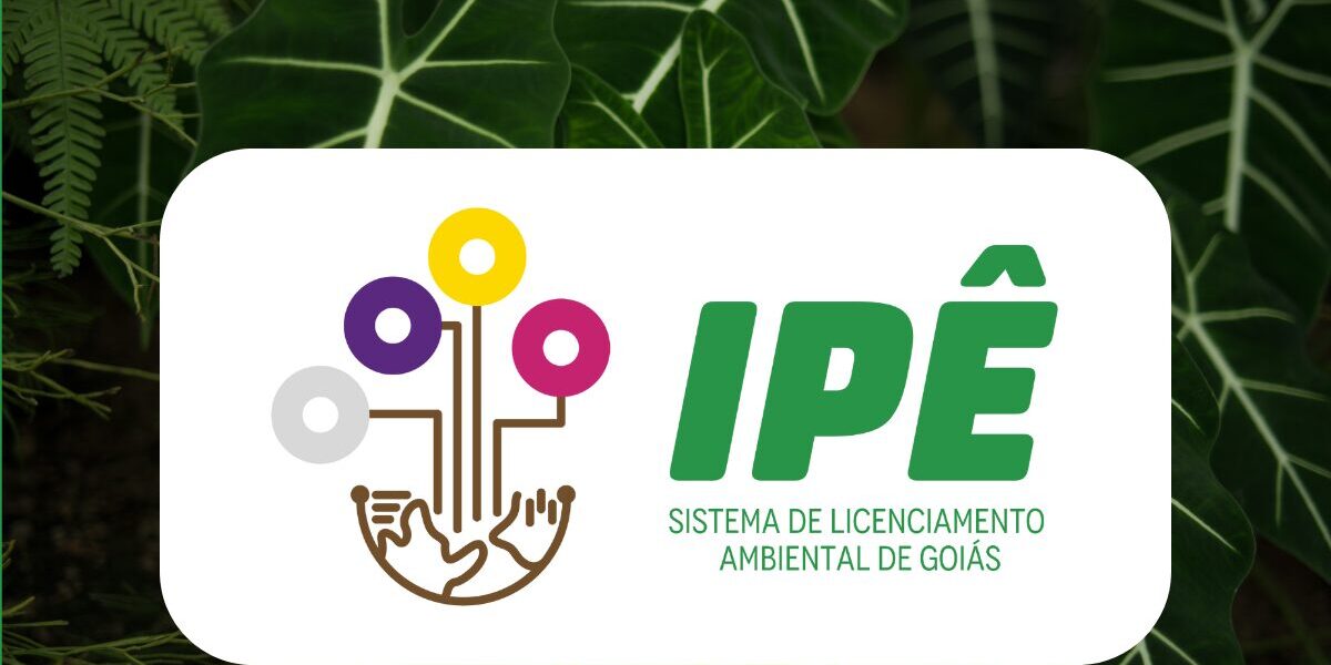 Módulos do sistema Ipê passam por migração de dez dias; saiba mais