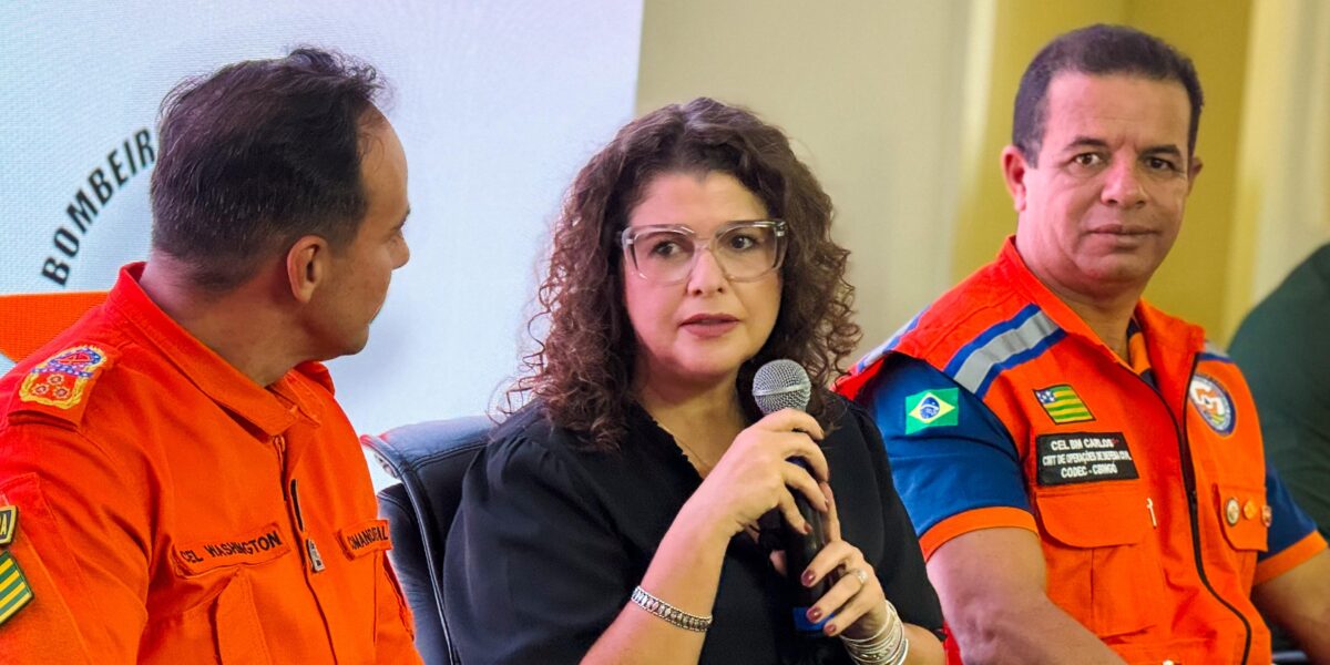 “Não queremos apagar incêndios, queremos evitar”, diz Vulcanis em Comitê Estadual de Gestão de Incêndios Florestais