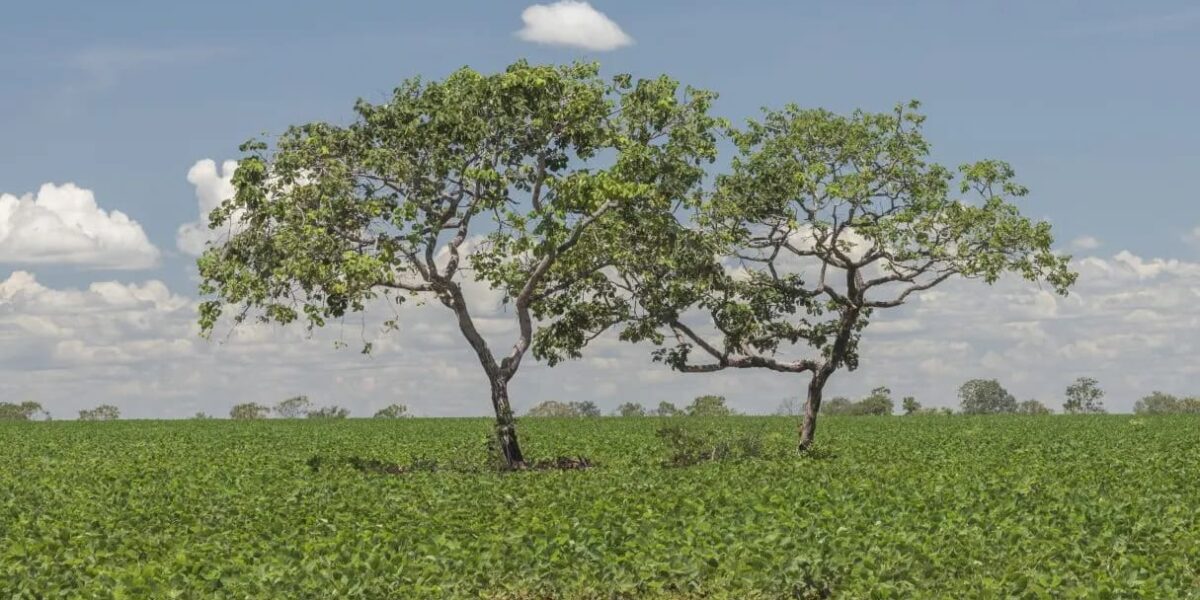 No Alto Meia Ponte, Semad vai dar assistência gratuita a produtores que têm que se regularizar