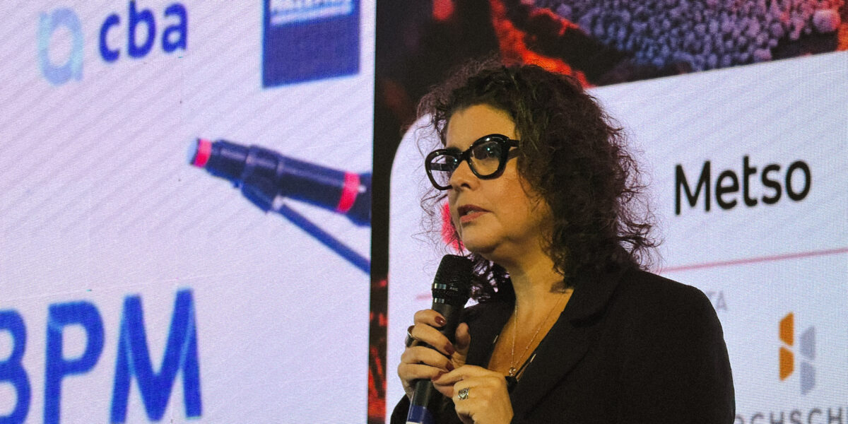 Vulcanis defende que licenciamento ambiental é responsabilidade compartilhada