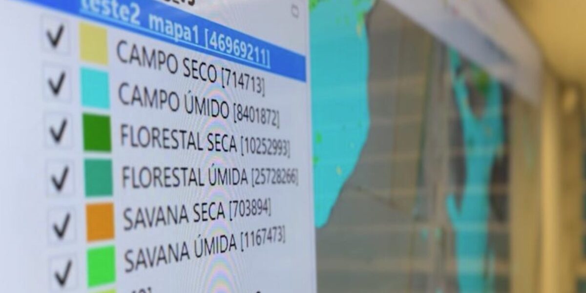 Vegetação nativa nas bacias do Meia Ponte e Rio dos Bois é 42% maior do que se pensava, diz estudo