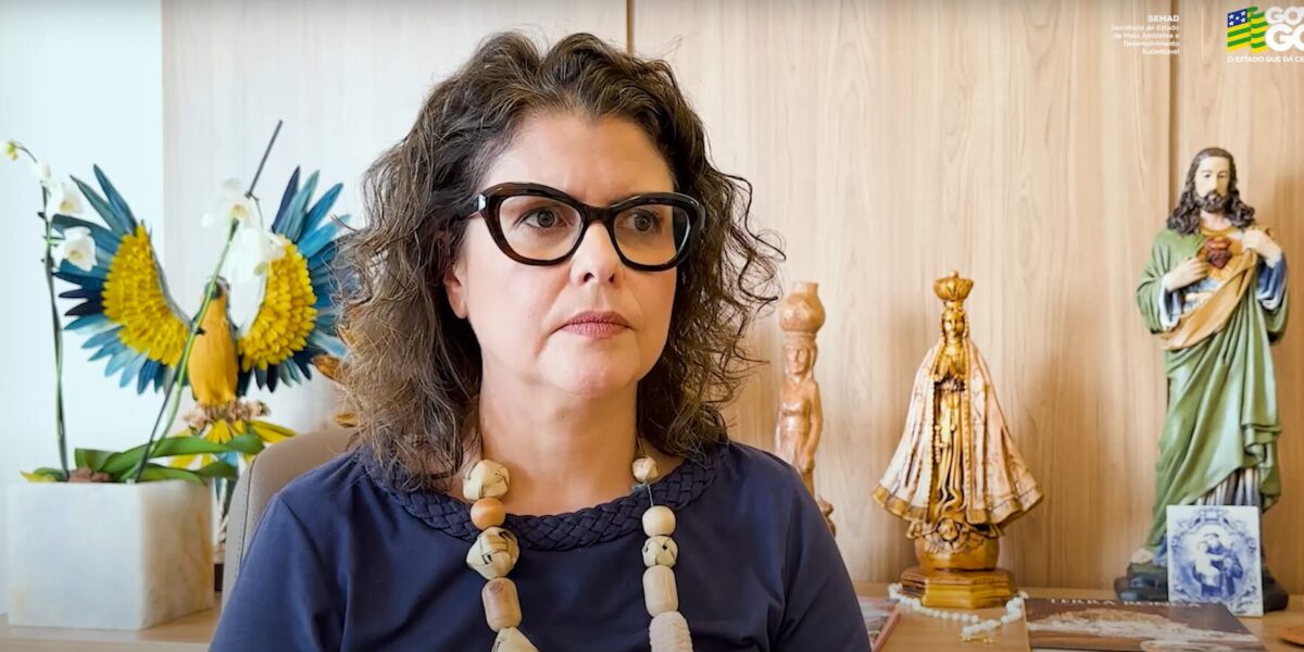 Vulcanis: ‘não é possível mais reverter o lixão de Goiânia para condição de aterro’