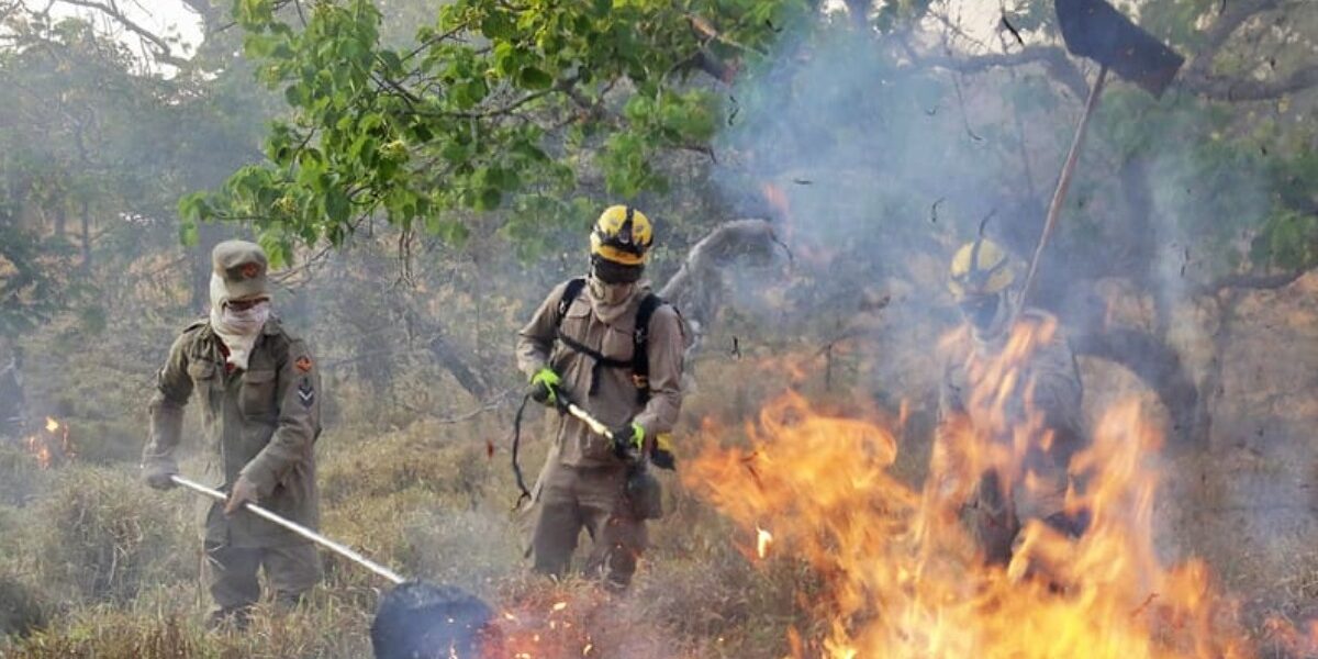 Goiás registra redução de 34% nos focos de queimada em comparação com 2024