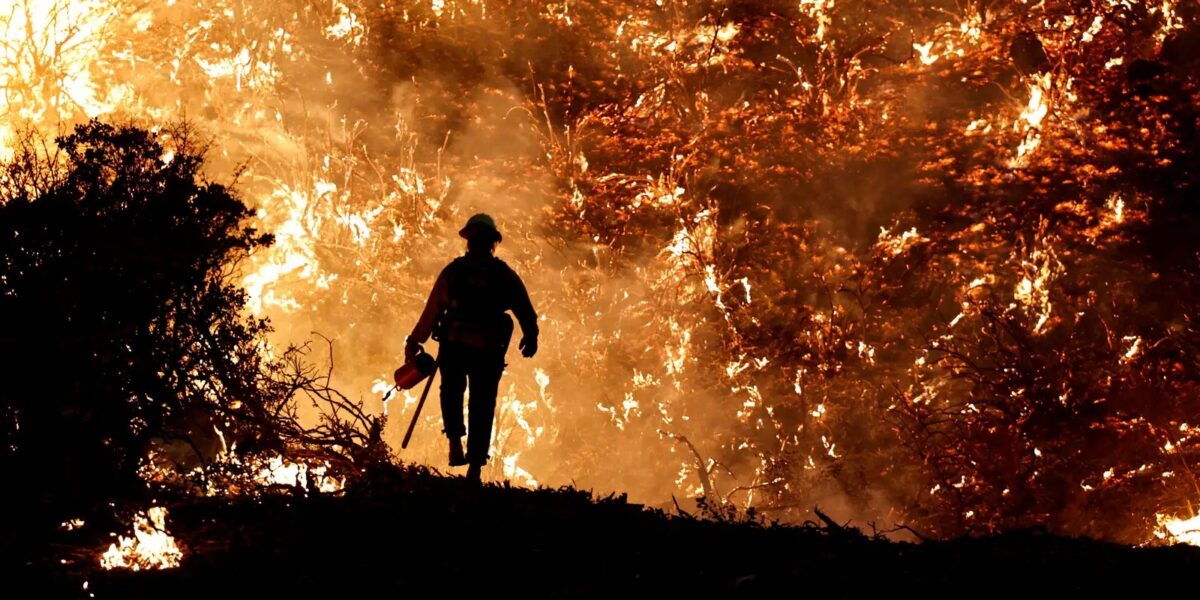 Semad define como se deve comprovar a autoria de incêndios florestais em Goiás
