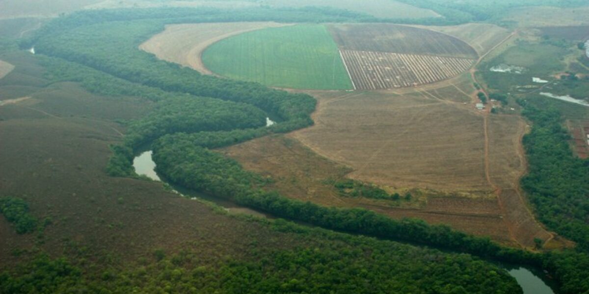 Semadcast: por que a água do rio São Marcos é alvo de disputa há mais de 10 anos?