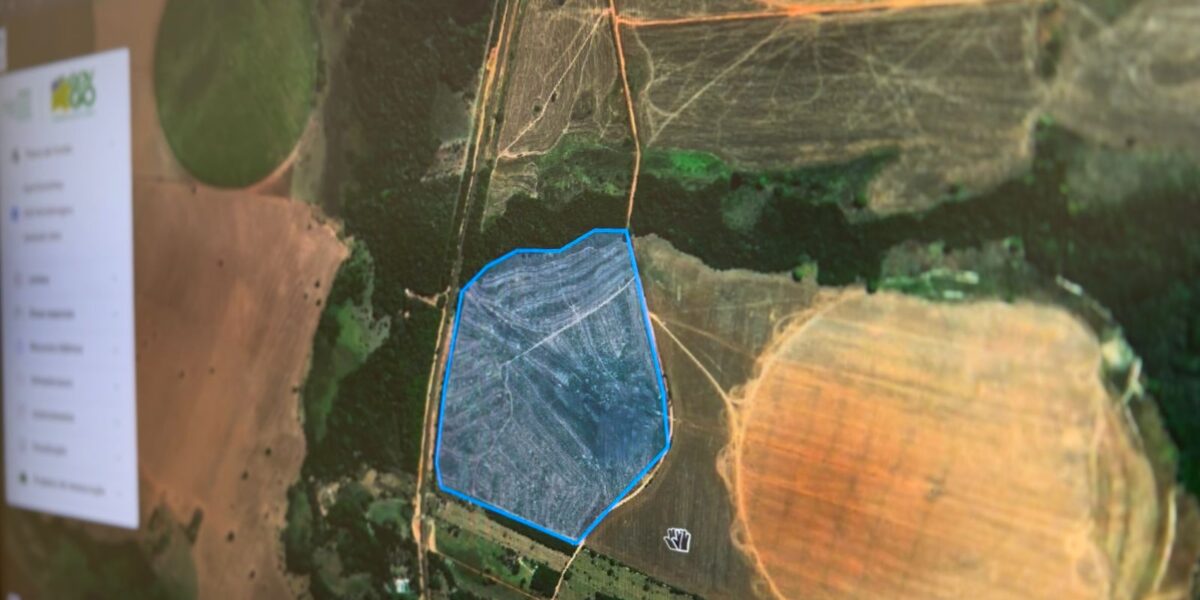 Semad lança sistema que automatiza monitoramento de áreas degradadas em Goiás