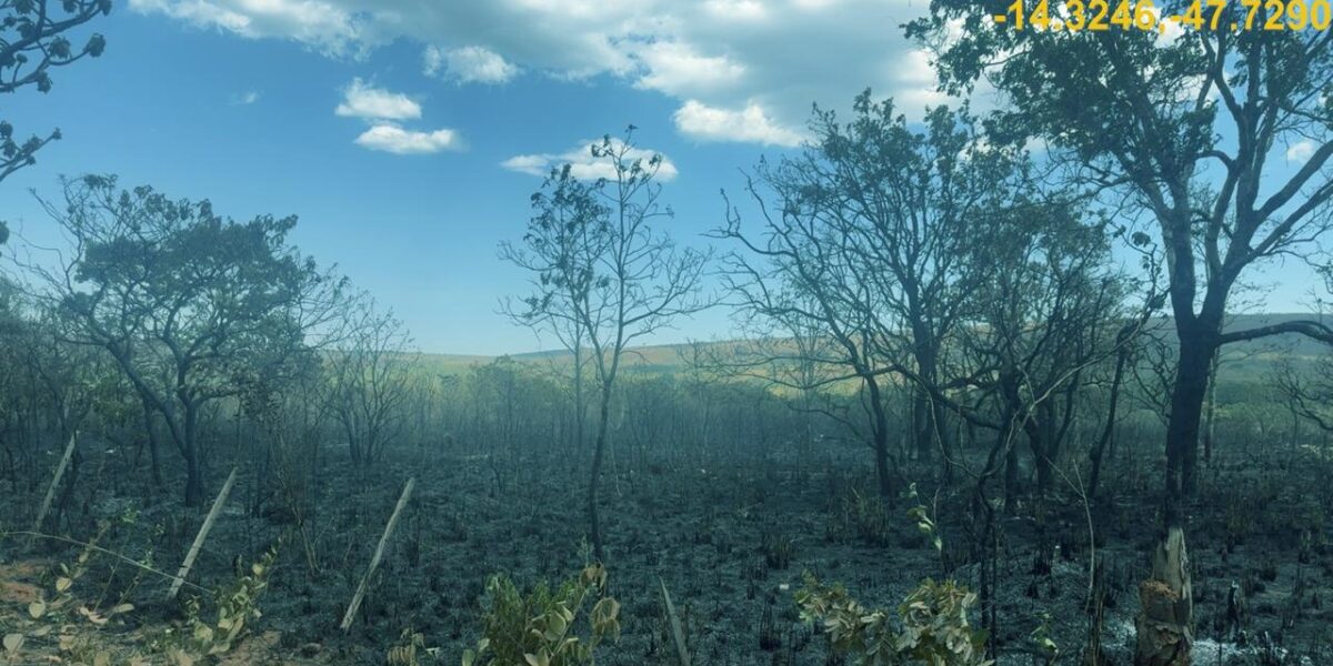 Incêndios na Chapada dos Veadeiros: pelo menos 30 proprietários devem ser responsabilizados