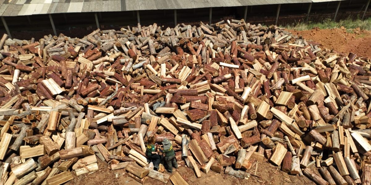 Semad autua 40 cerâmicas por falta de licença ou uso de madeira ilegal em Goiás