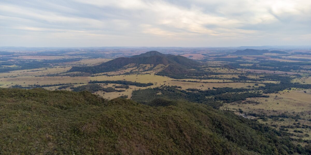 Em áreas de vegetação e desmatamento, Goiás remove mais gás carbônico da atmosfera do que emite, mostra estudo