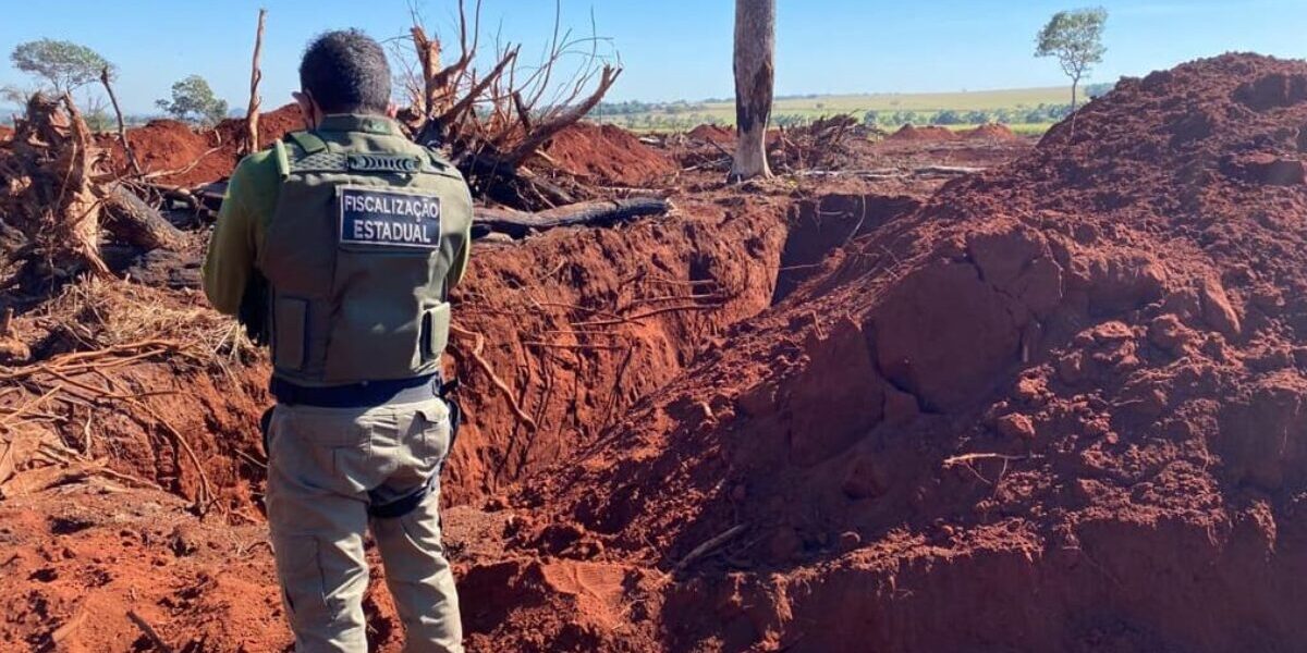 Semad divulga Plano Anual de Fiscalização para 2026; confira